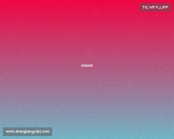 普兰软件有限公司